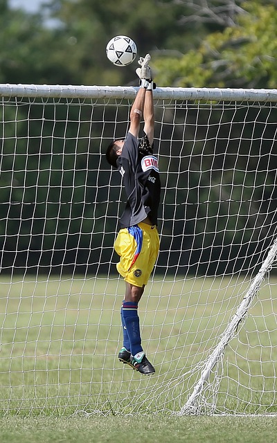 将获得更多 将获得更多