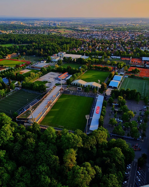 自然不缺席 自然不缺席